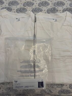 GAP Men's White V-Neck Tee Set - White (2 Pack)